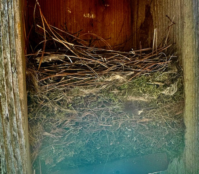 nest