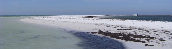 Anclote Sandbar